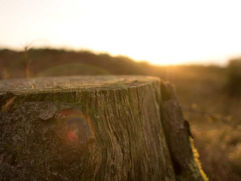 勇士王朝重建之路：克莱离队后，库里有话说插图1